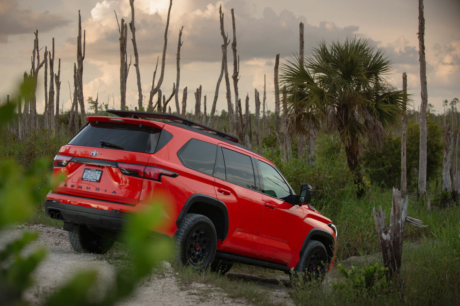 The 2023 Toyota Sequoia TRD in Solar Octane